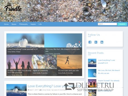 Frindle -   WordPress